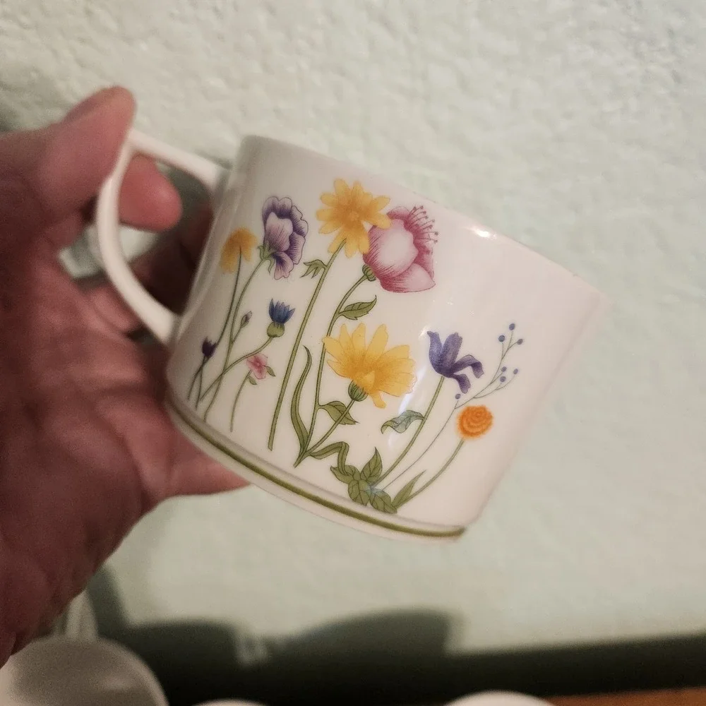 Denby English Garden‎ Limoges France Porcelain Tea Cup Set Of 5 Easter Spring